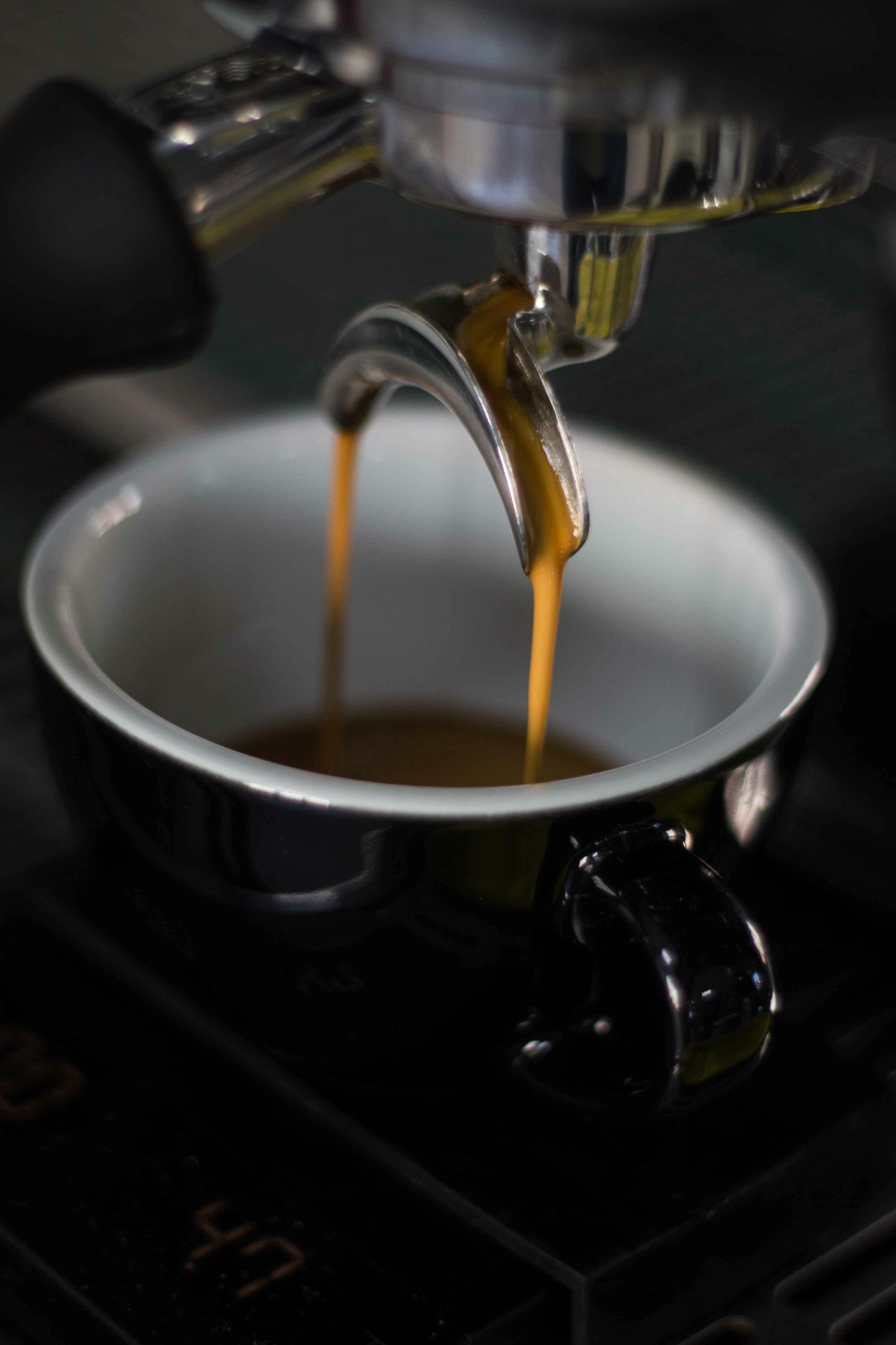 Light, Medium, or Dark? Finding Your Signature Roast