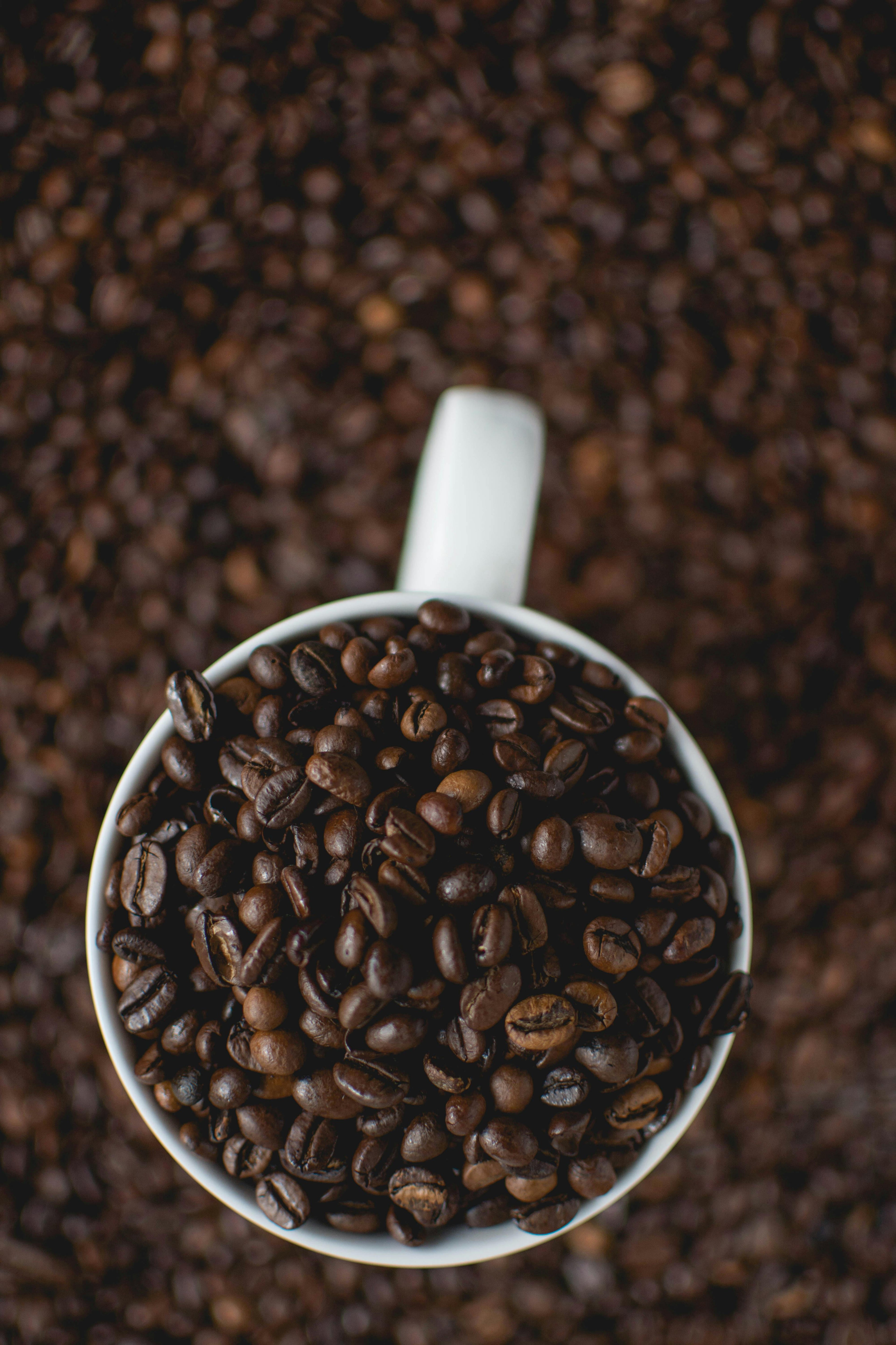 Stop Ruining Your Beans: The Definitive Guide to Coffee Storage
